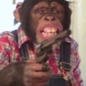 Meet your Posher, Vincent